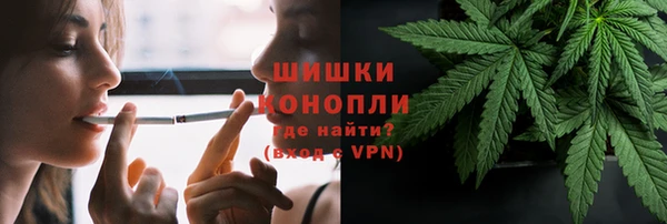 бошки Бородино