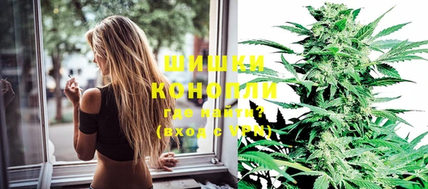 бошки Бородино