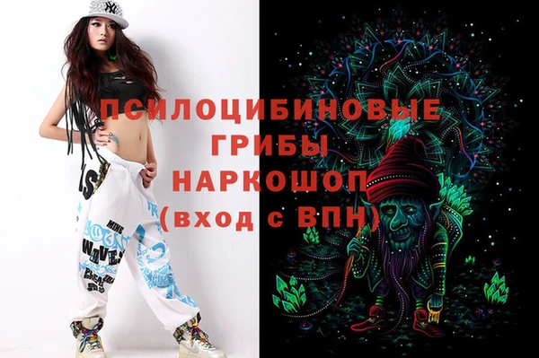 гидропоника Бугульма