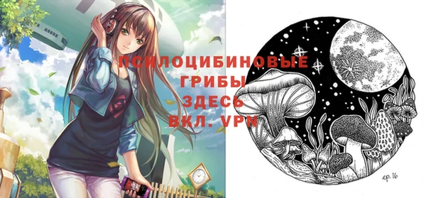 бошки Бородино