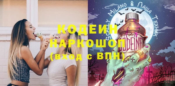бошки Бородино